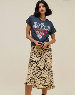 DayDreamer Aerosmith Rocks Cropped Tee